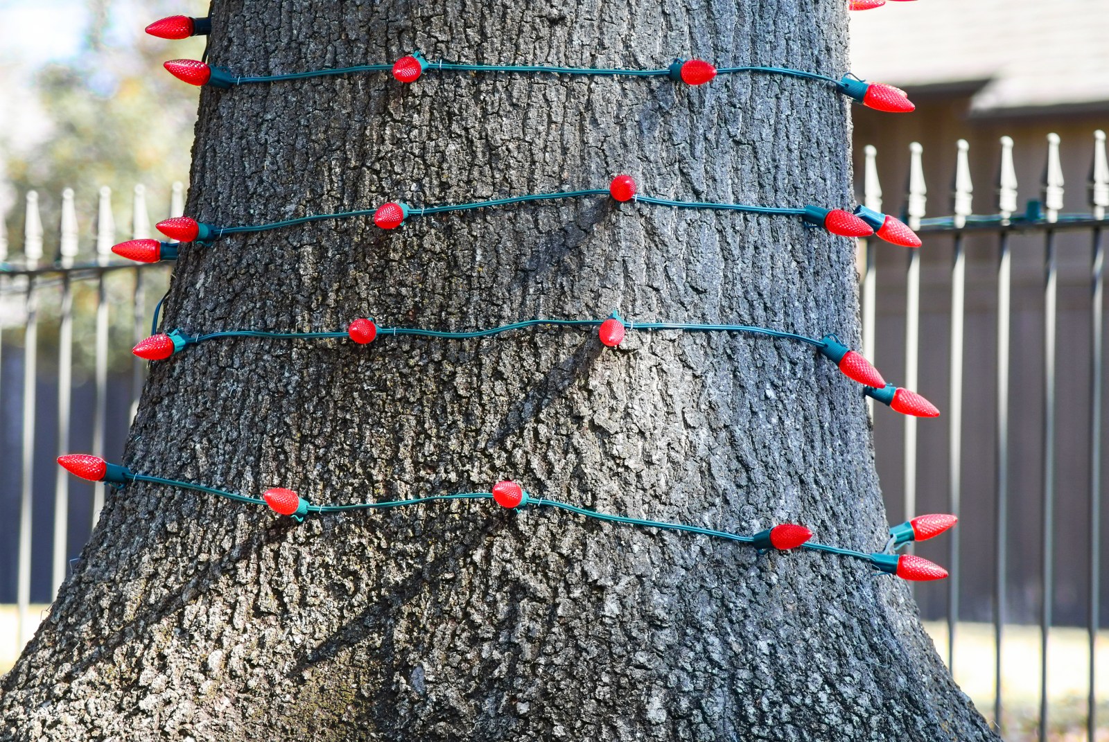 How to String Christmas Lights | Holiday Lights | HouseLogic