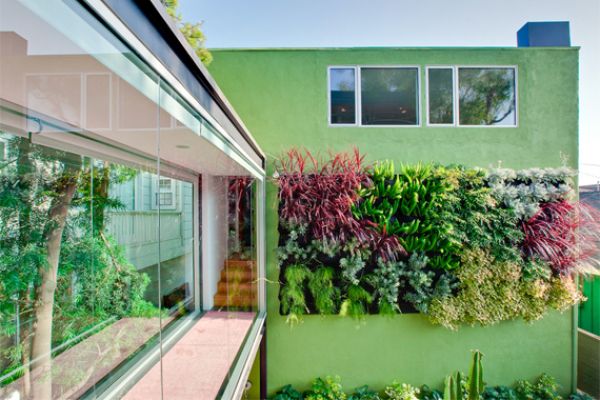 Garden on a Vertical Wall | Living Wall