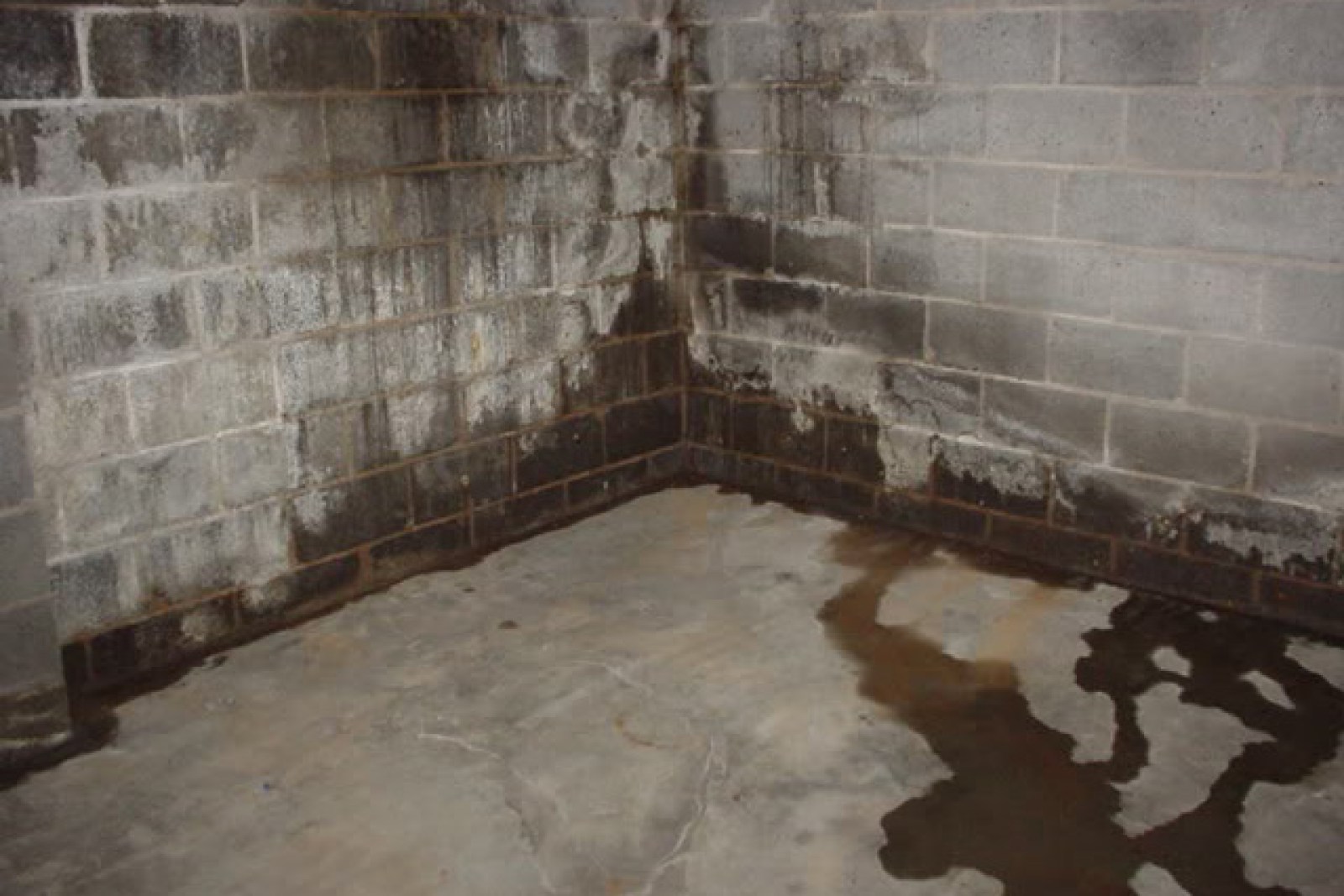 Water Proofing Basement | Basement Waterproofing Costs