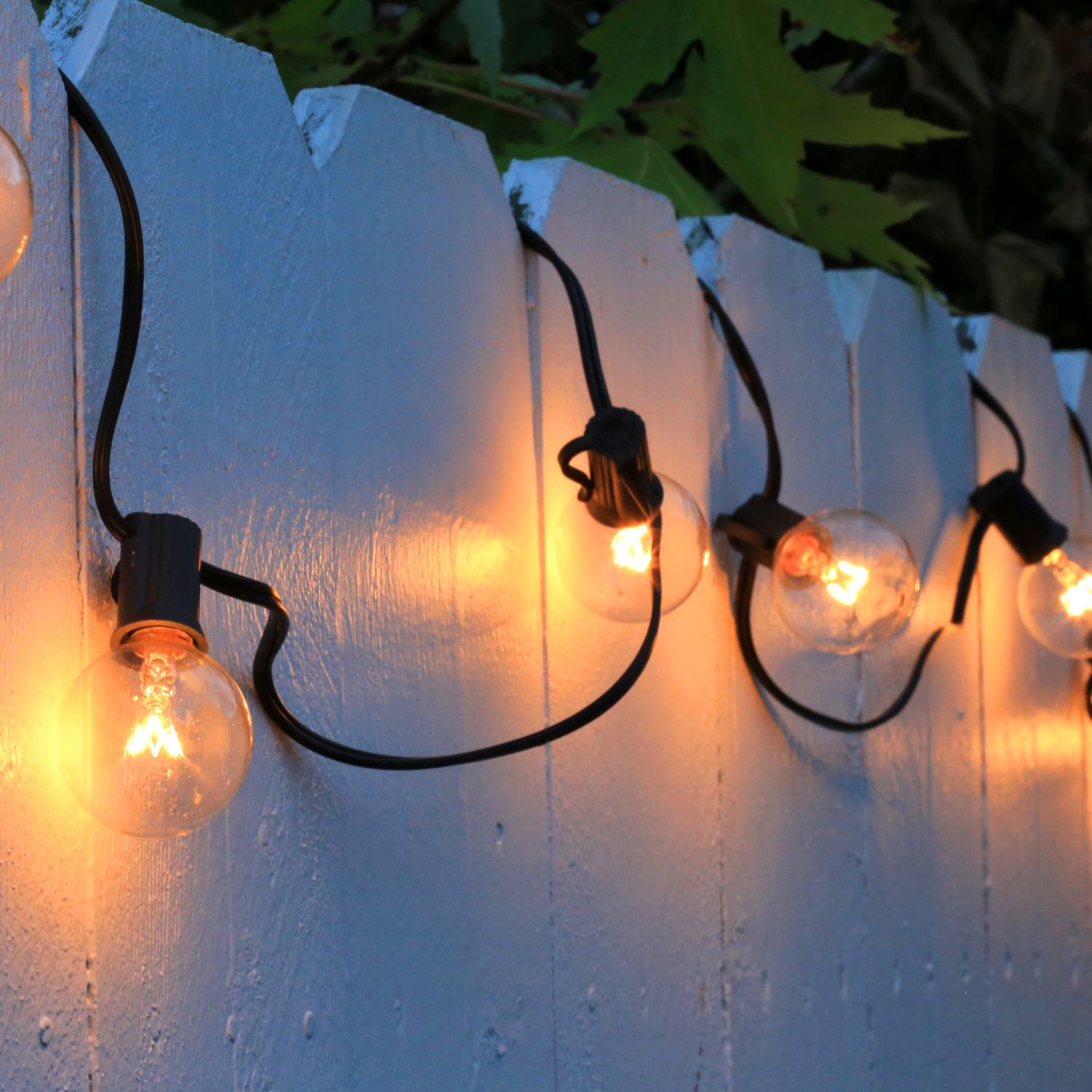 String of globe lights looped along pickets of white fence