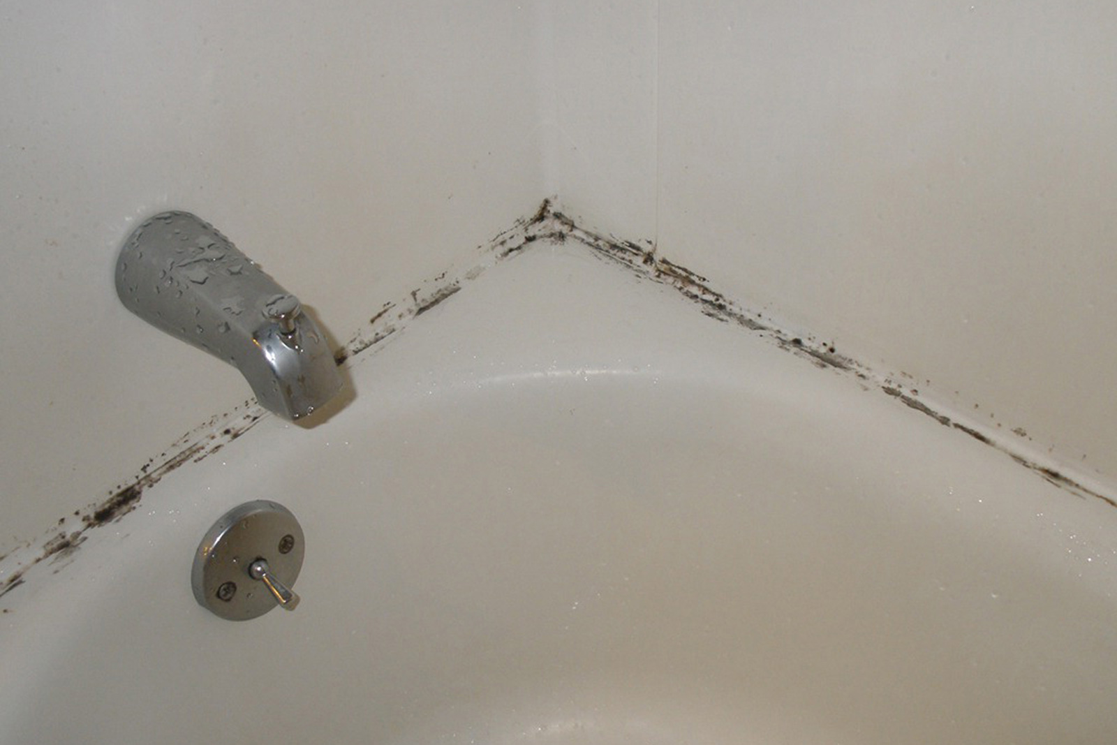 mold bathroom ceiling bathtub kill