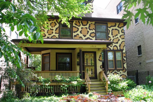 Leopard Print Painted Home, Chicago | Exterior House Colors