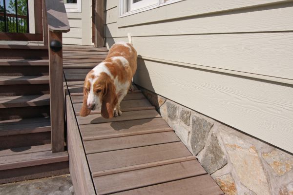 Ramp Off Porch for Dogs | Building a Dog Run