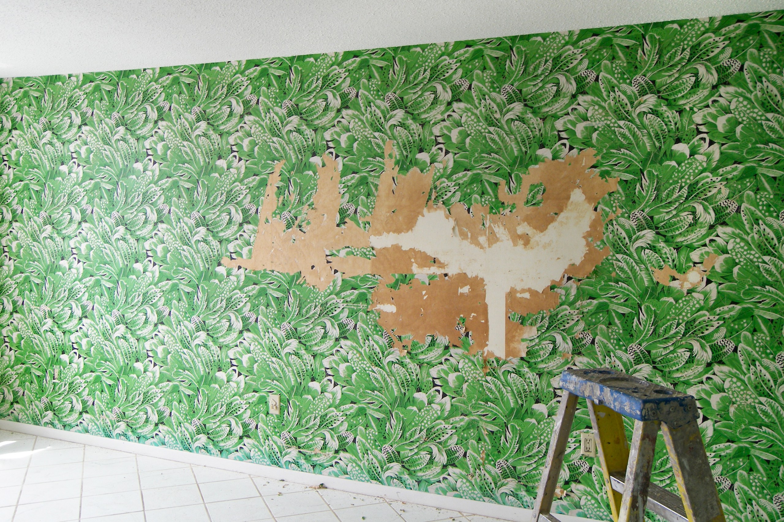 37+ Pictures Removing Wallpaper, Amazing Inspiration!