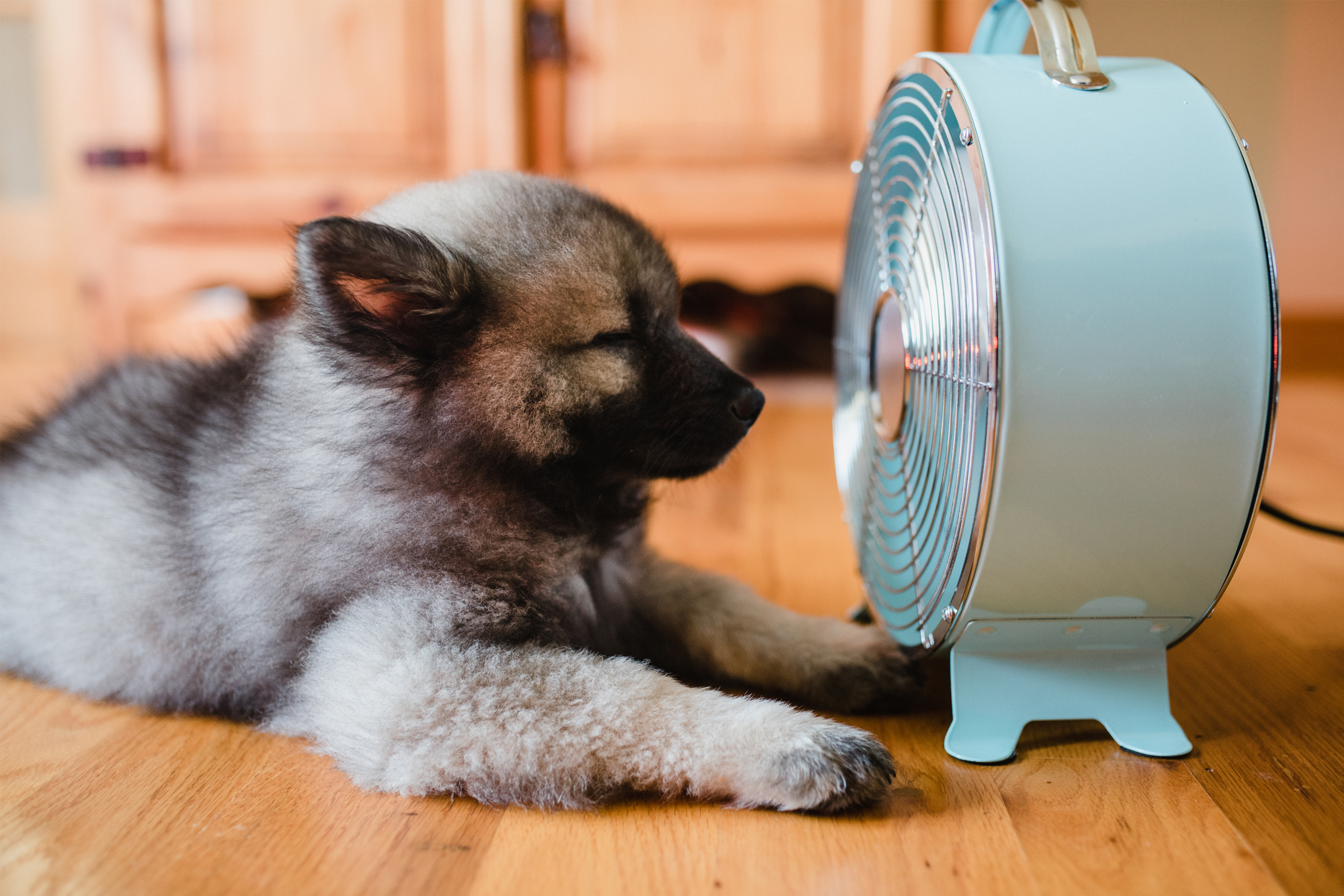 How To Keep House Cool Keep Cool Without Ac Houselogic