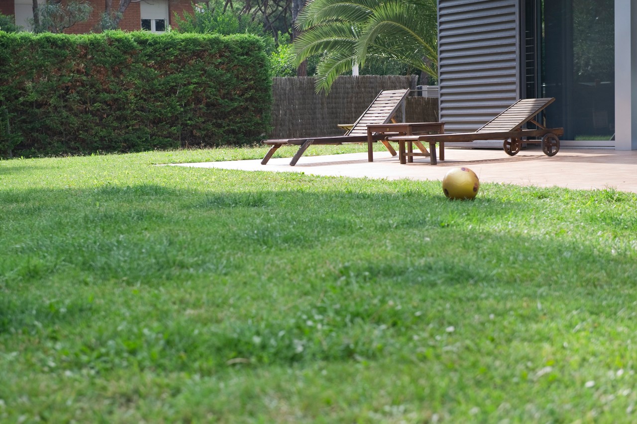 Best Time to Water Grass for a Healthy Lawn | HouseLogic