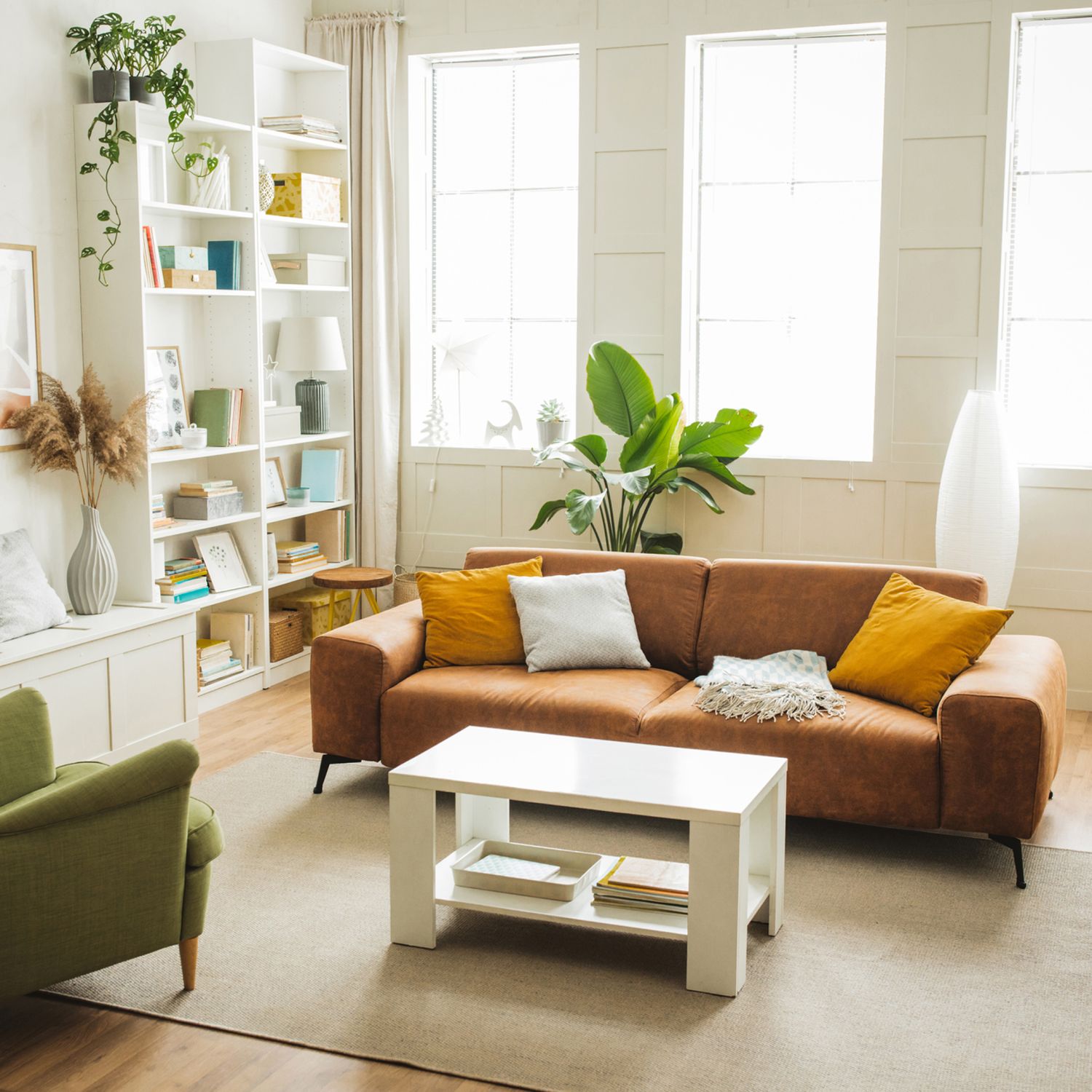 Interior of organized home living room with leather sofa, green armchair, storage, table and plants.