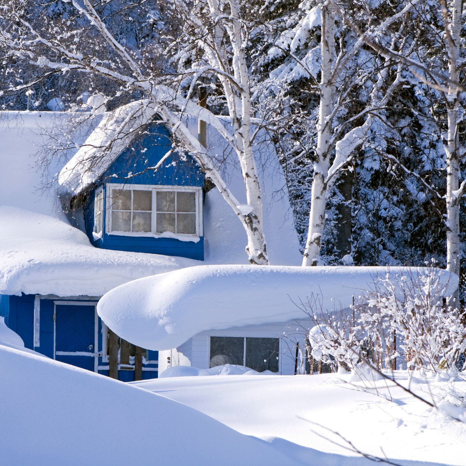 snowfall buried a blue house and roof and covered trees in winter landscape too much snow for roofs