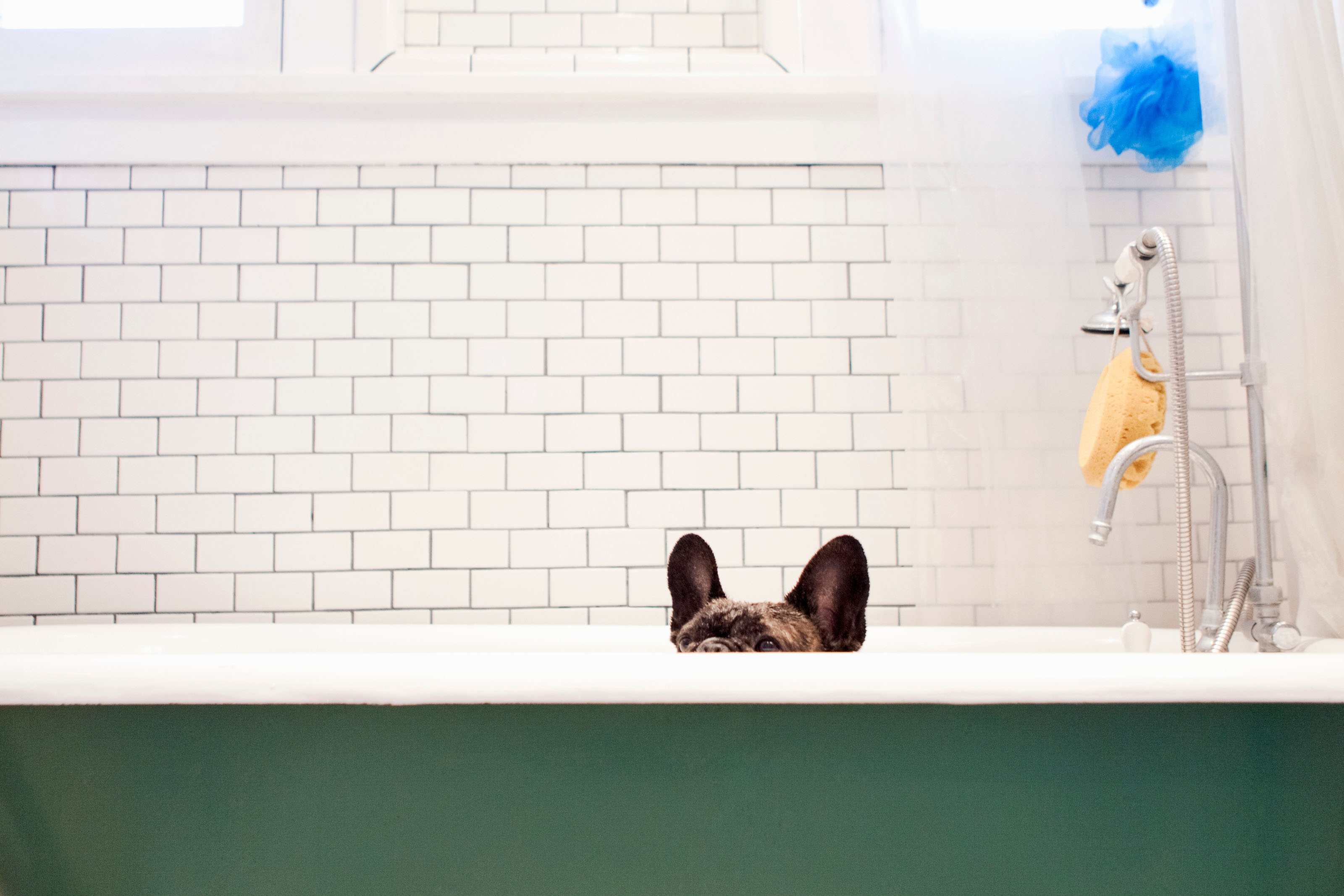 Short Bath Mat for Refinished Tub