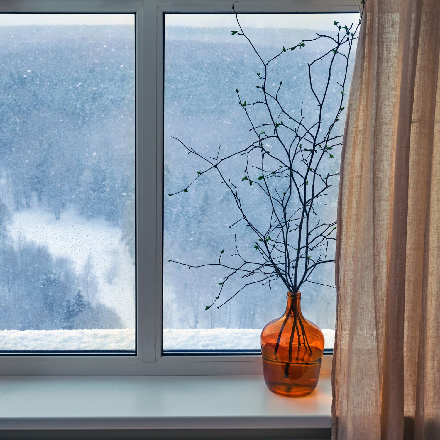 Branches of a tree stand in a vase in front of a drafty window in the winter.