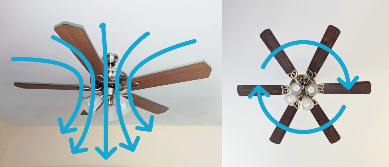 A dual shot of ceiling fans with arrows showing what direction the fan should be turning for Summer.