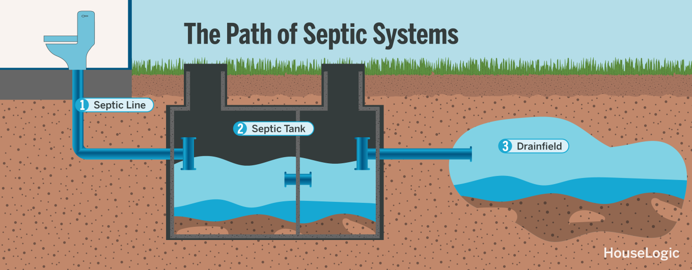 A graphic that shows the path of septic systems and the different parts of a septic system.