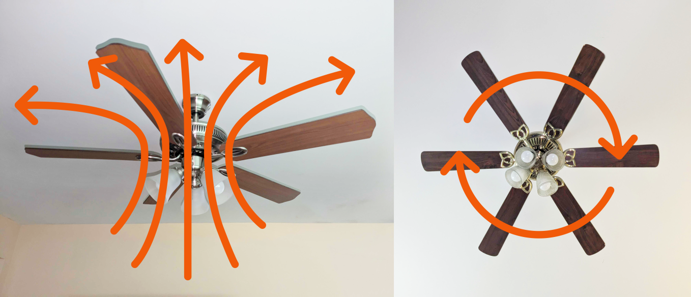 Side-by-side shots of ceiling fans with arrows showing what direction the fan should be turning for Winter.