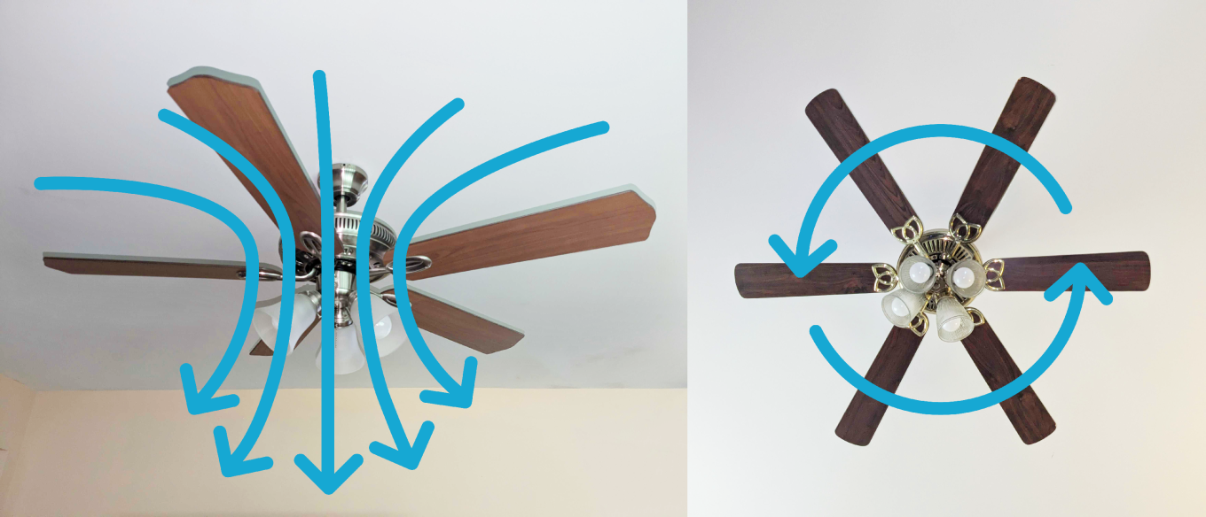A dual shot of ceiling fans with arrows showing what direction the fan should be turning for Summer.