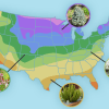 A map of the United States with plant zones shown via different coloring and a few example plants