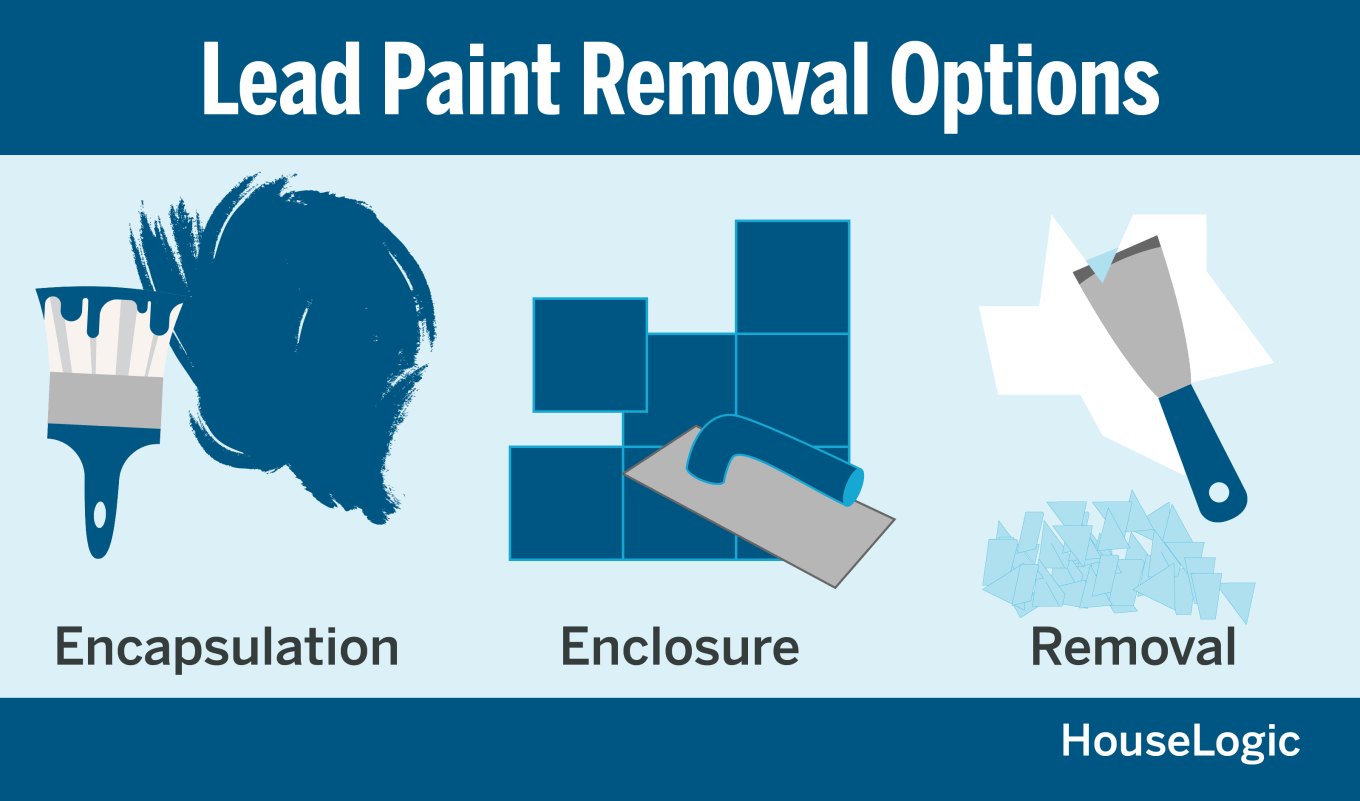 Lead paint removal options include; encapsulation, enclosure, and removal.