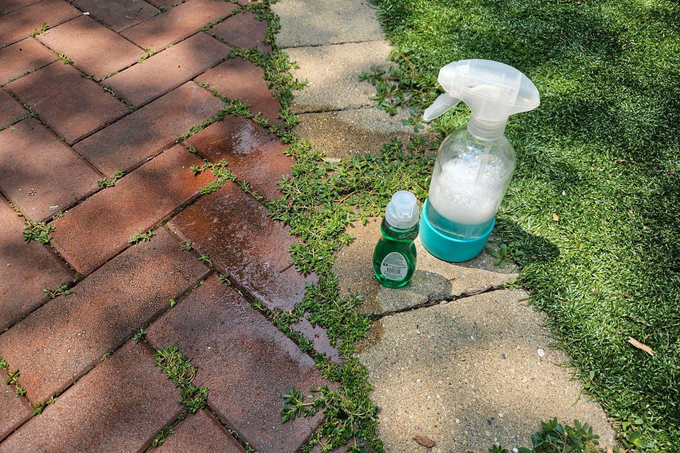 Dish soap in a spray bottle to kill yard weeds naturally.