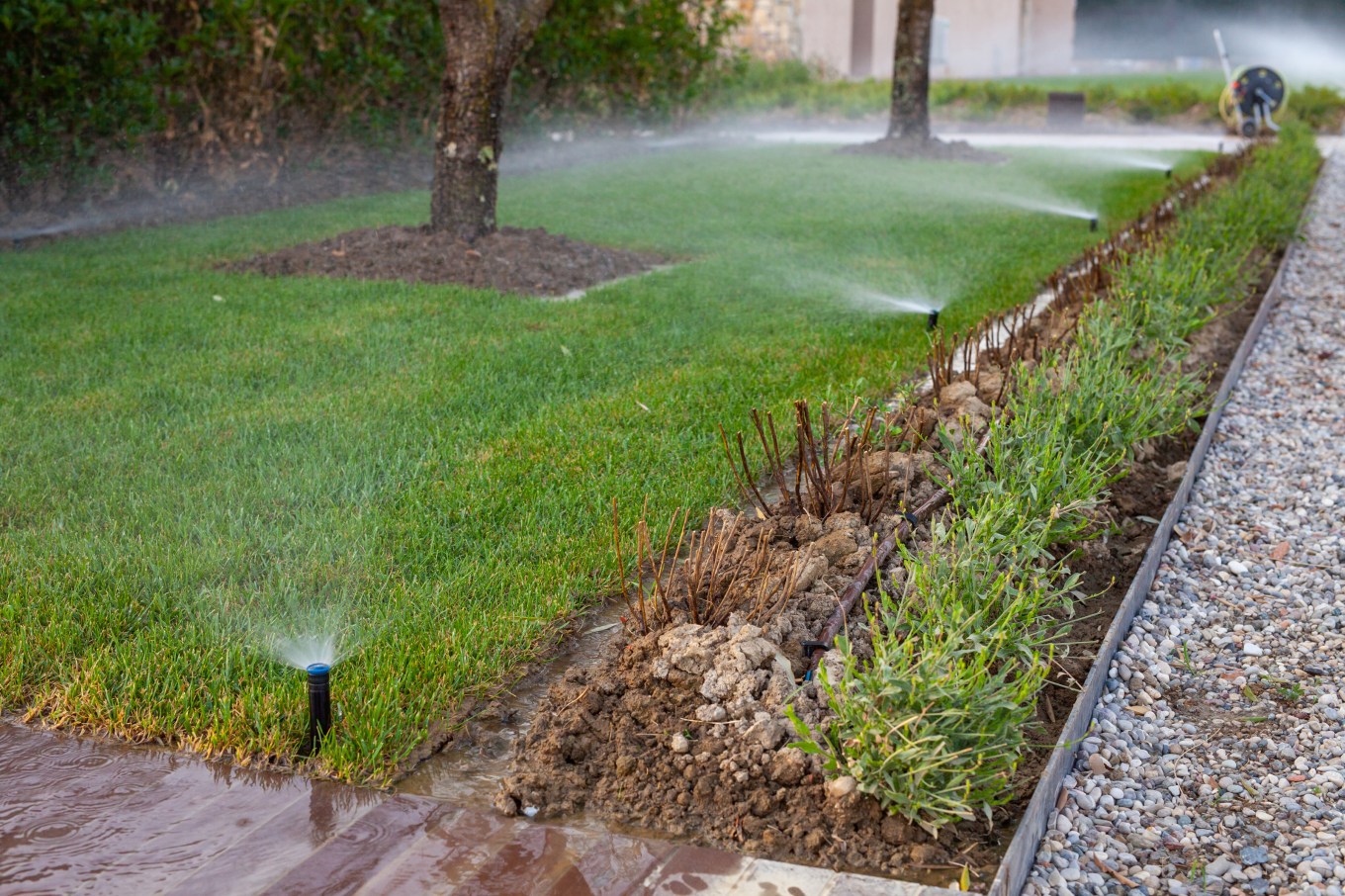 Sprinkler heads dispersing water from a below ground irrigation system.