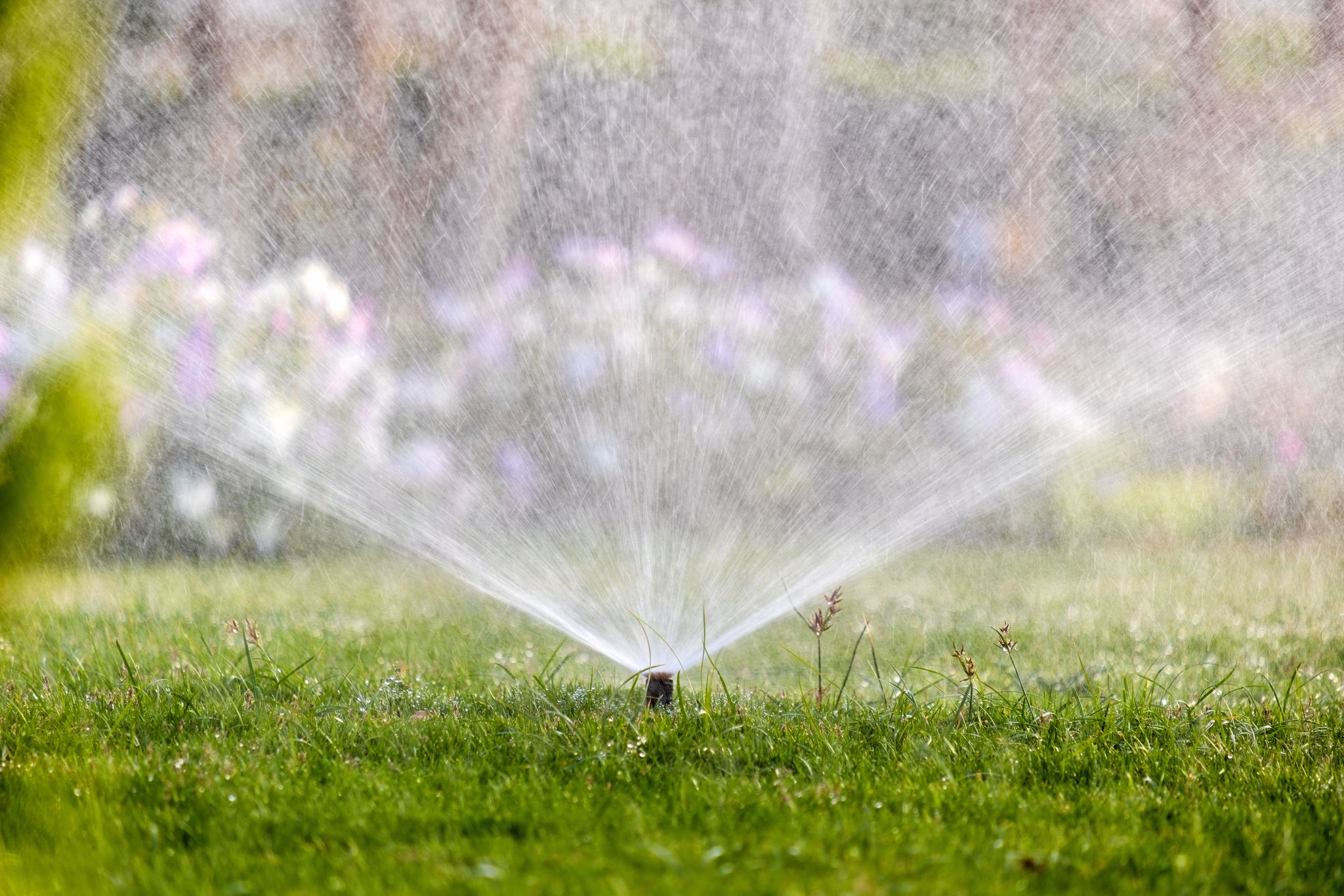 A sprinkler system, an example of an irrigation system, in a yard.