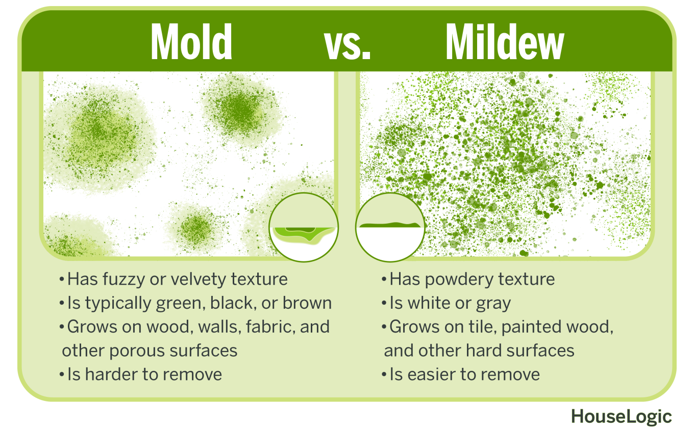 A graphic of the differences in appearance of mold versus mildew. It includes color, texture, and type of surfaces.