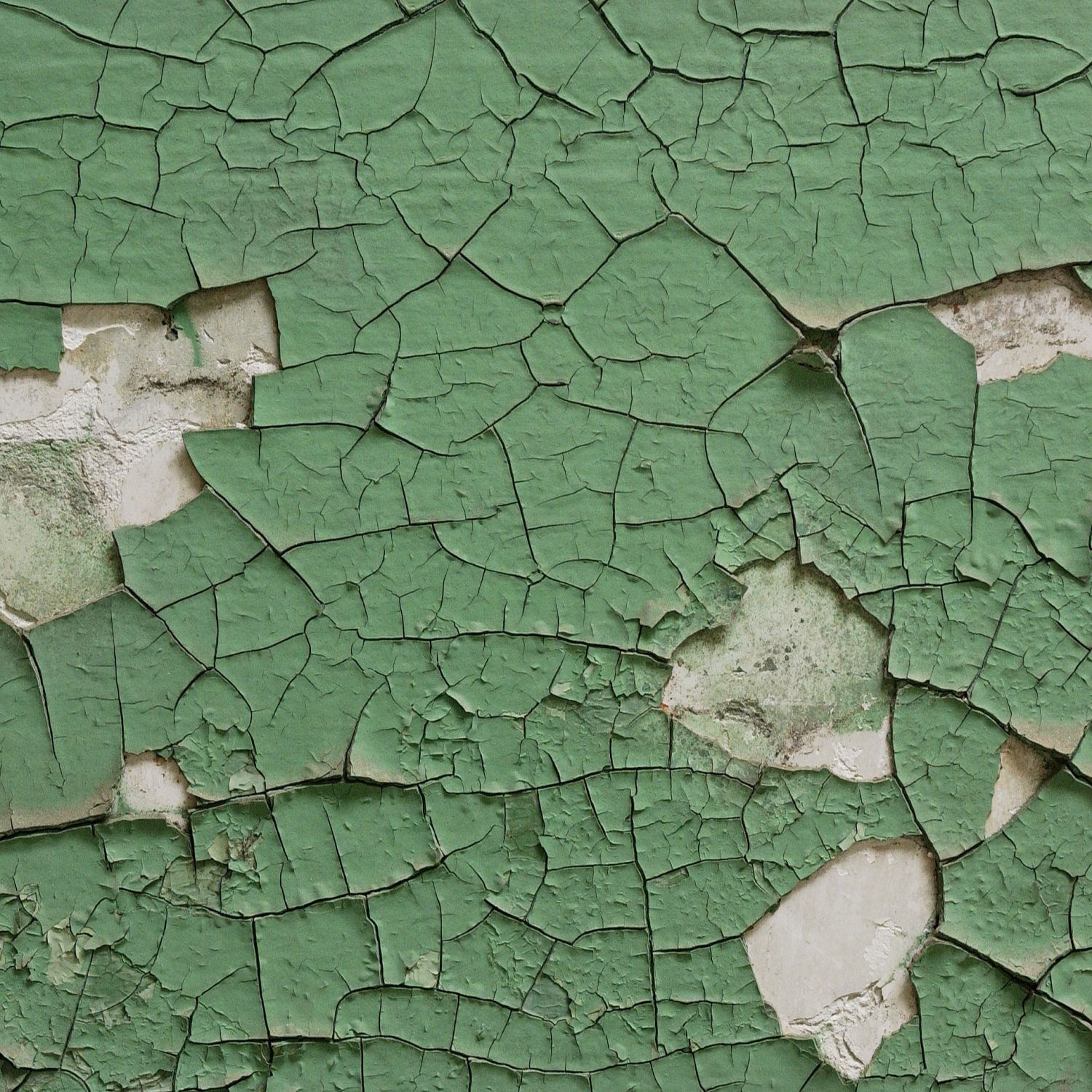 Green lead paint peeling off a wall.