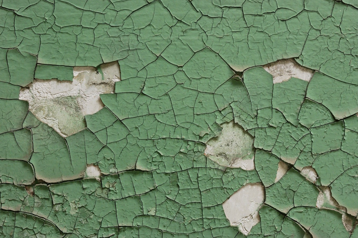 Green lead paint peeling off a wall.