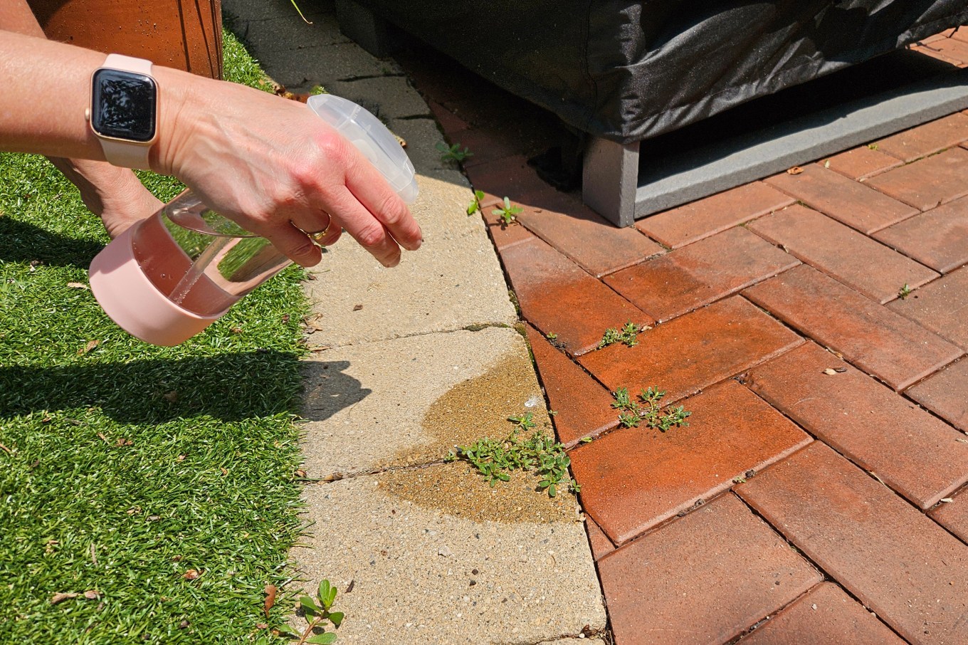 Vodka in a spray bottle being used to kill weeds naturally.