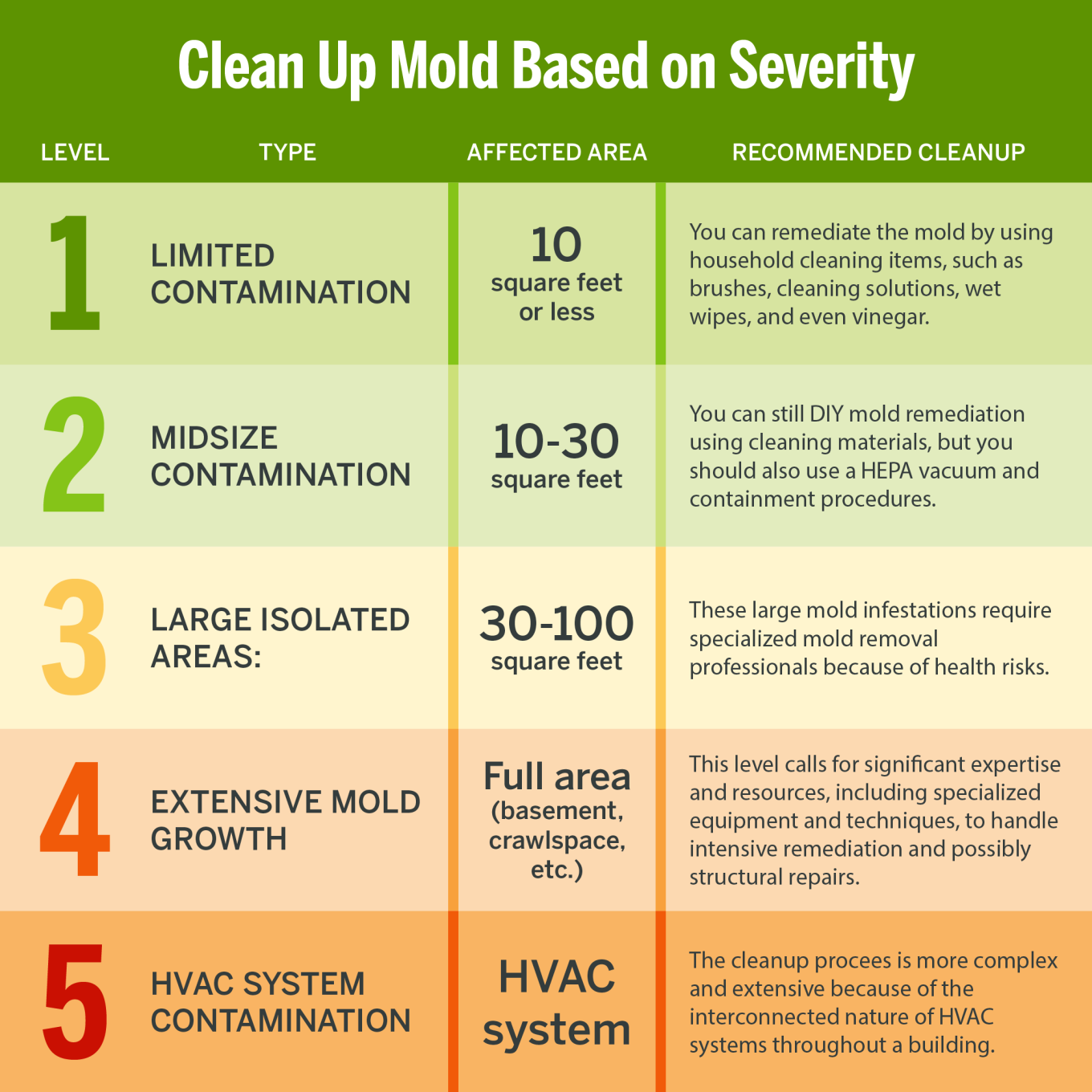 An infographic detailing the recommended cleanup based on the severity of the mold contamination.