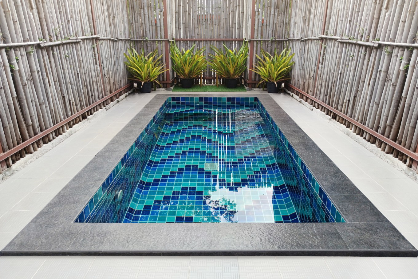 A small private backyard swimming pool surrounded by a bamboo fence.