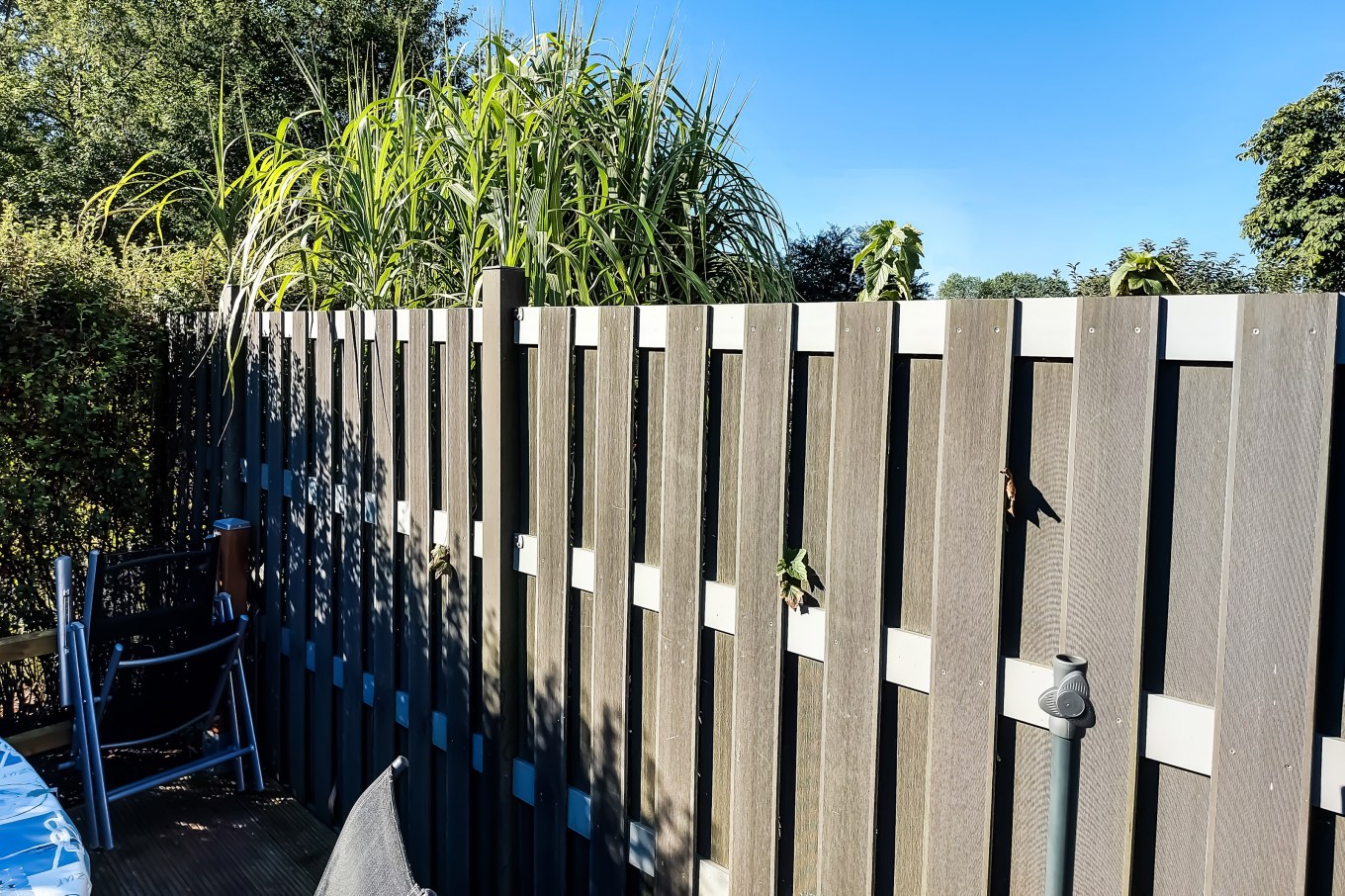 A composite fence surrounding a backyard with a pool.