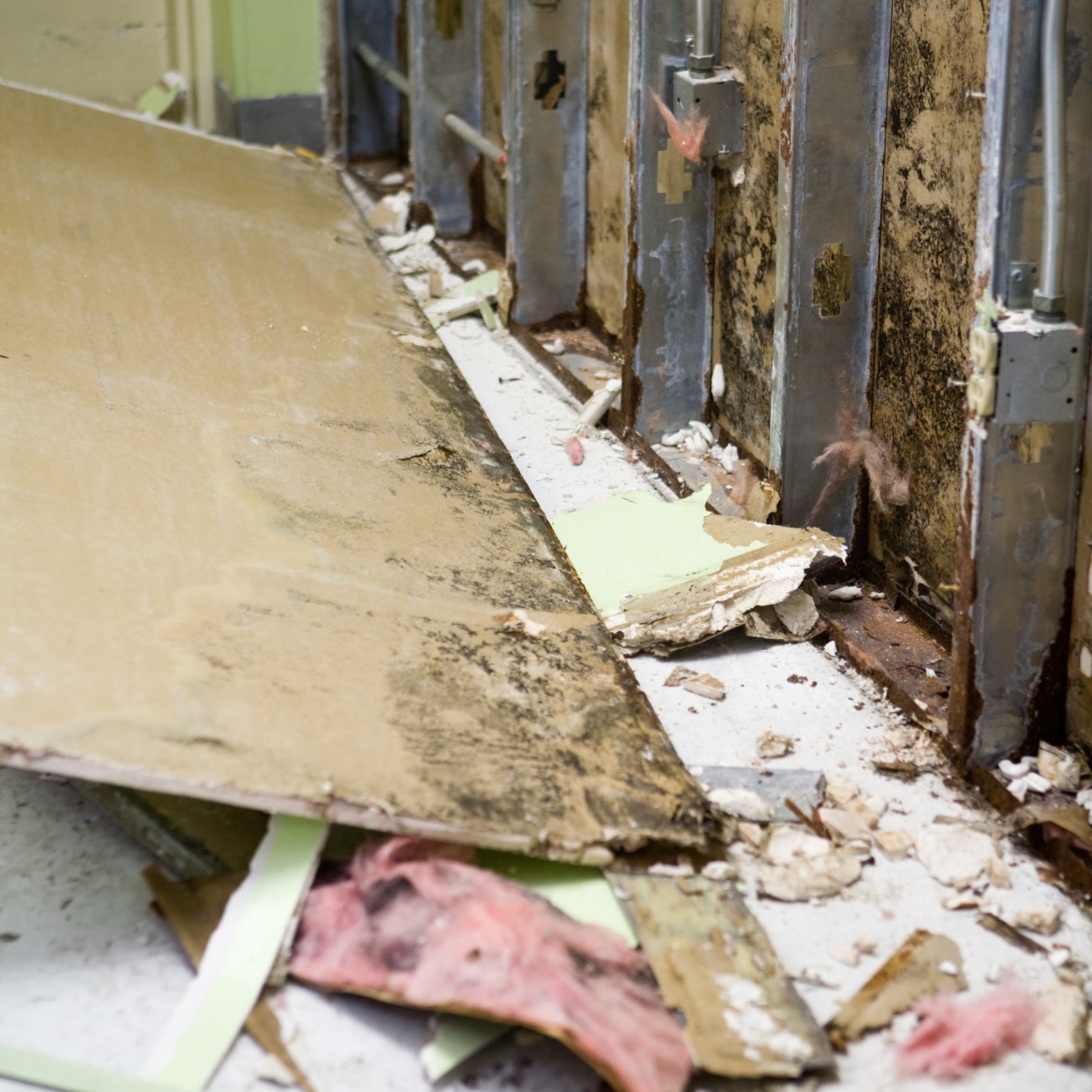 Mold inside of a wall, requiring remediation to deal with.