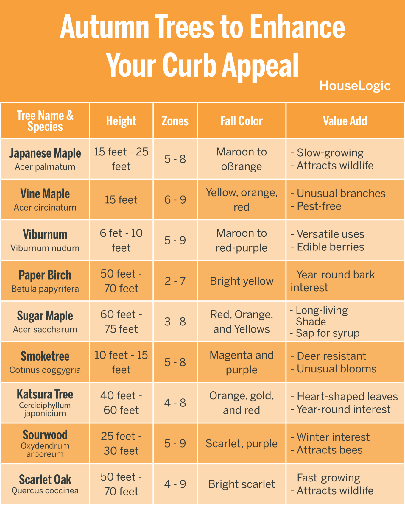 A table showing various autumn trees to enhance your curb appeal such as Japanese Maple, Paper Birch, or Sugar Maple.