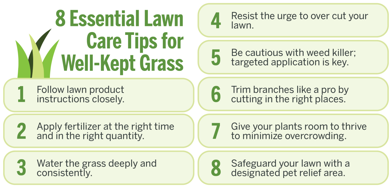 A summary of the 8 essential lawn care tips for well kept grass.