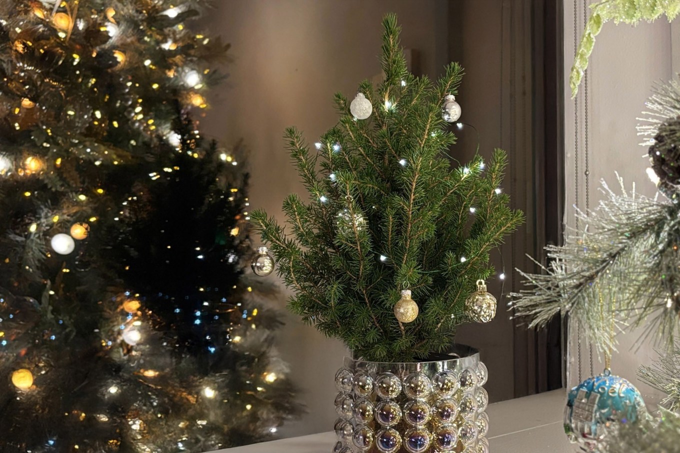 A beautifully Christmas decorated dwarf alberta spruce on a windowsill.