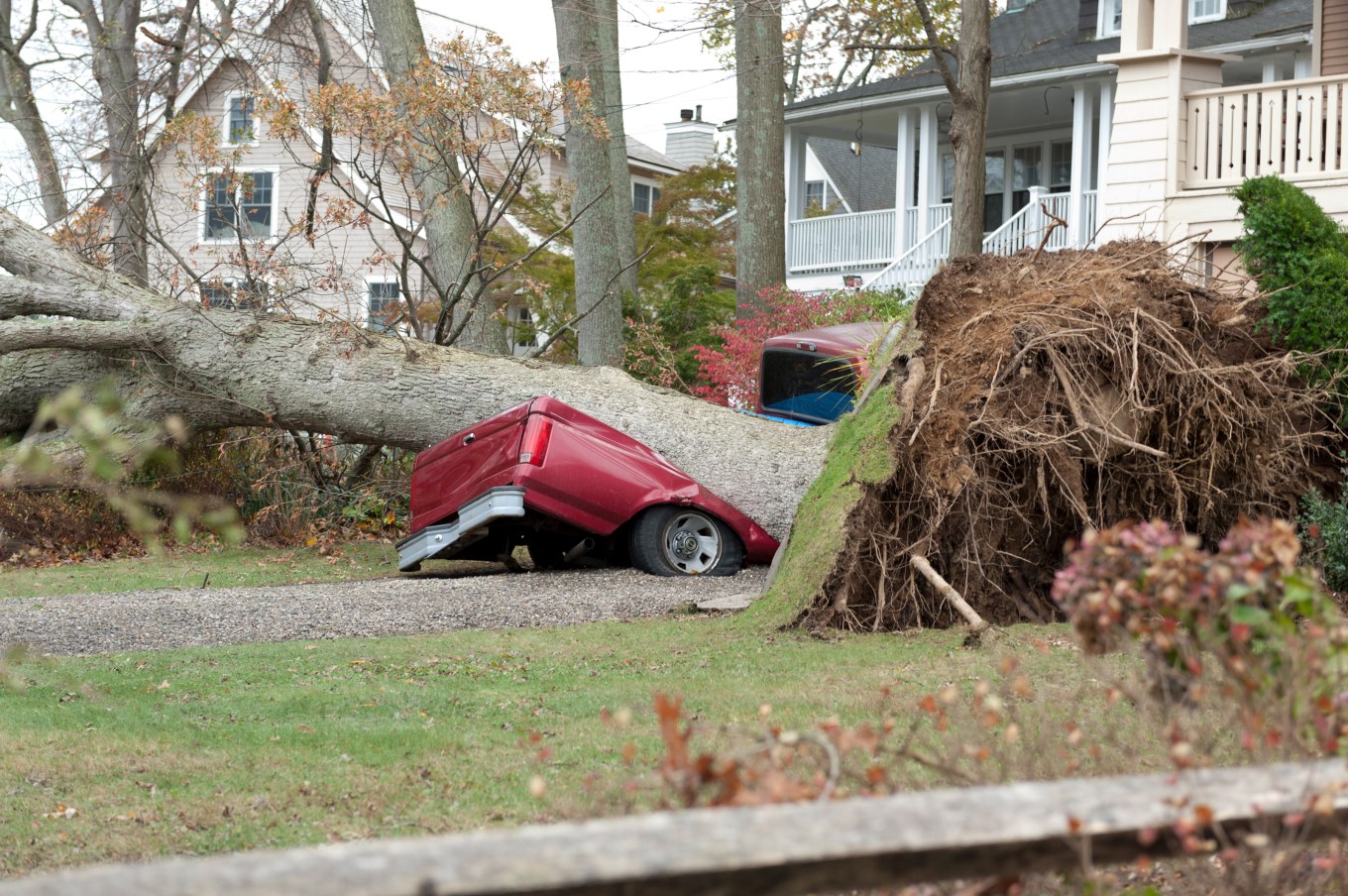 A large tree crushing a truck and the porch of a house in the aftermath of a natural disaster.